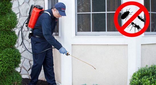 Eskipazar Kene İlaçlama böcek ilaçlama ve haşere kontrolü — ilaclama-tr.com